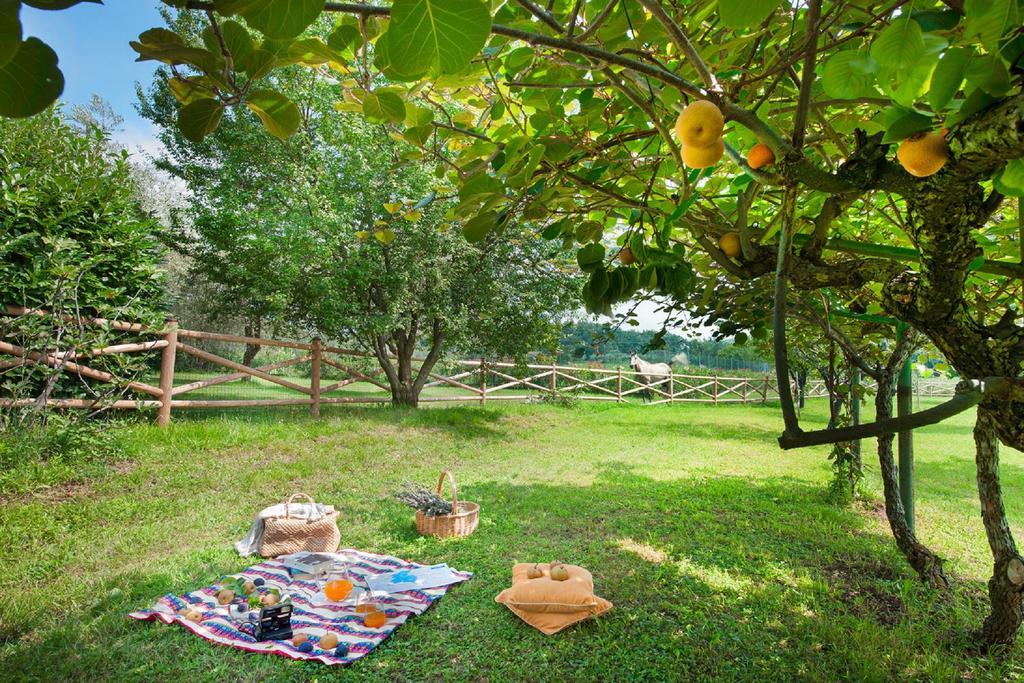 סן פליס דל בנאקו Olea Dei Holiday Apartments מראה חיצוני תמונה